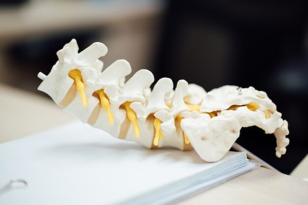 Cilvēka mugurkaula anatomiskais modelis